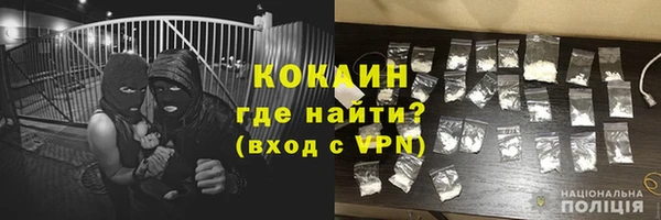 хмурый Елизово