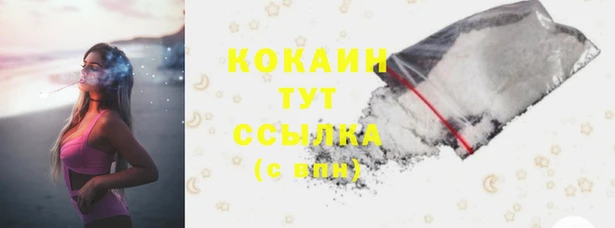 mdpv Елабуга
