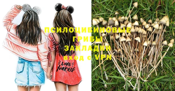 наркотики Ельня